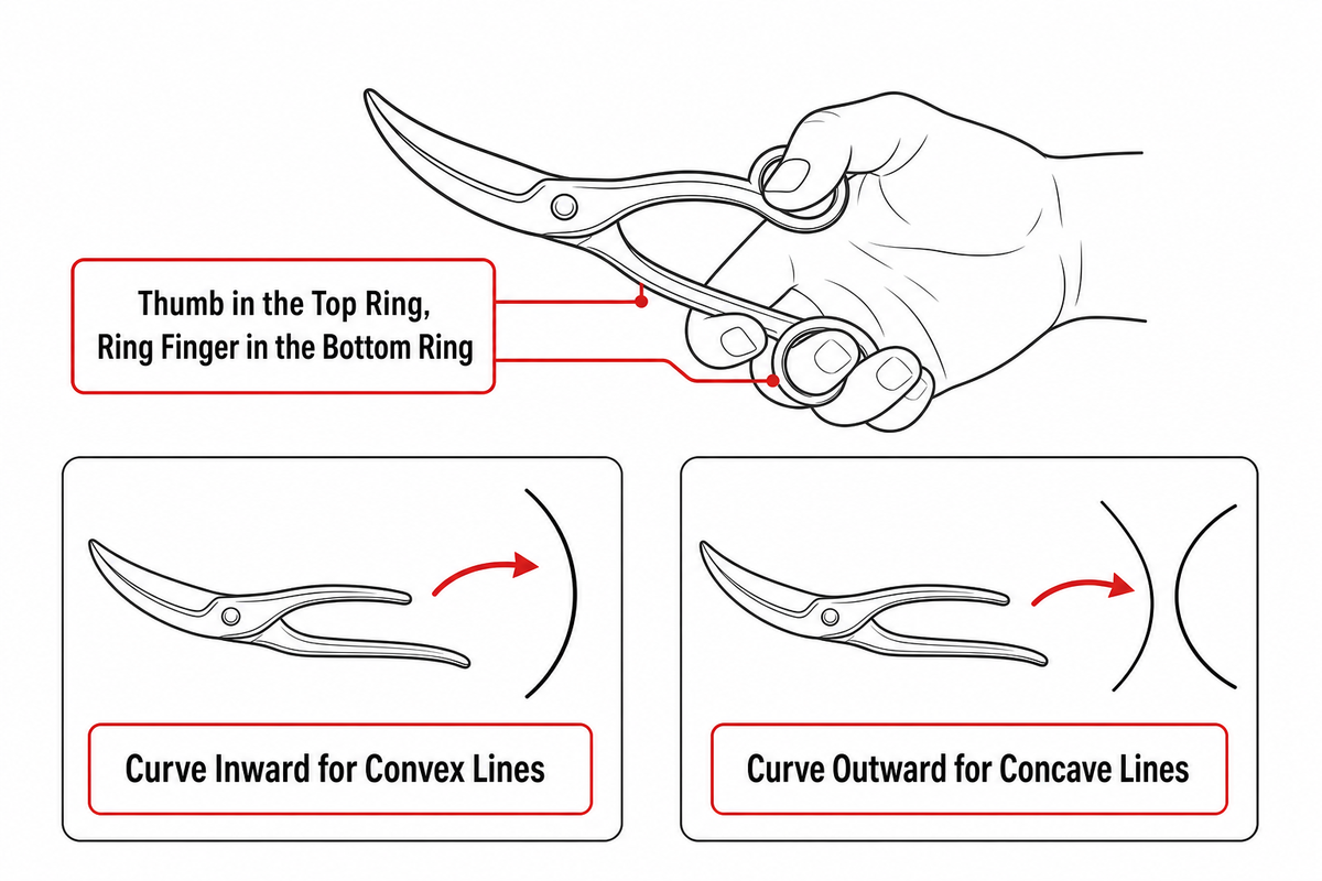 Grip, Angle, and Wrist Motion: How to Hold a Curved Shear Correctly — Mackay Hair Scissors