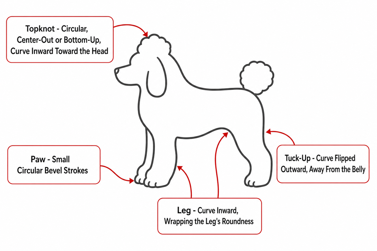 The Contour-to-Stroke Conversion Table: Matching Body Zones to Cutting Patterns — Mackay Hair Scissors
