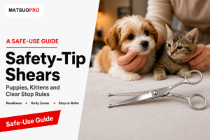 Puppy and kitten beside rounded-tip safety grooming shears